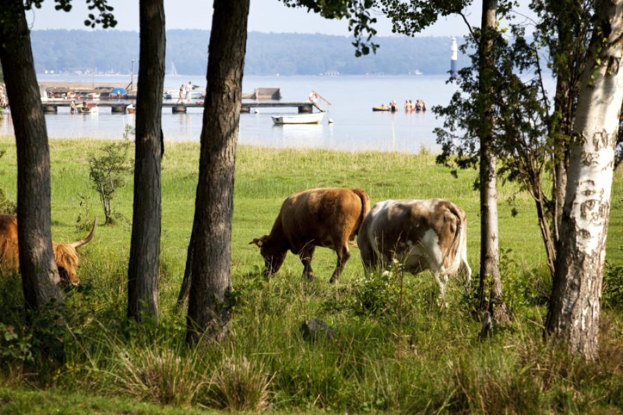 Södermöre municipal district