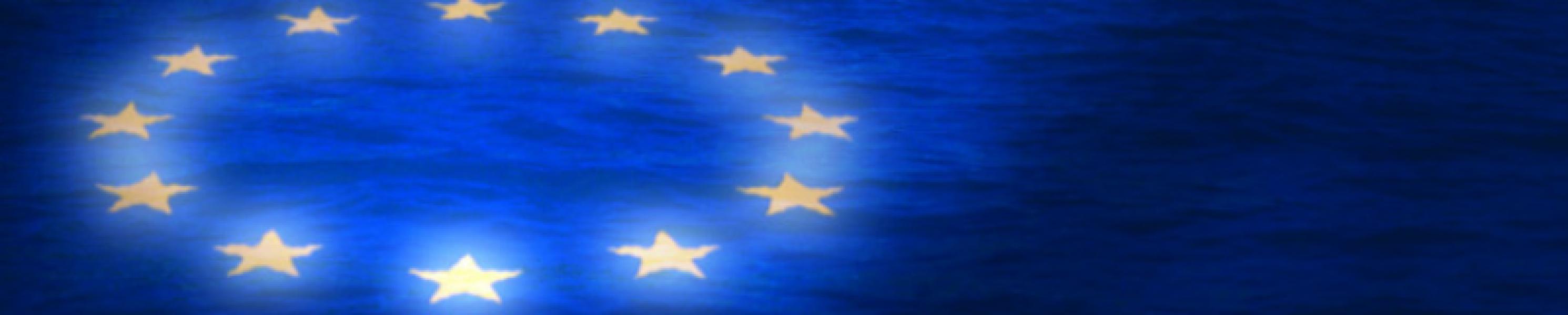 Commission démocratie, cohésion sociale et enjeux mondiaux - Conférence des OIN