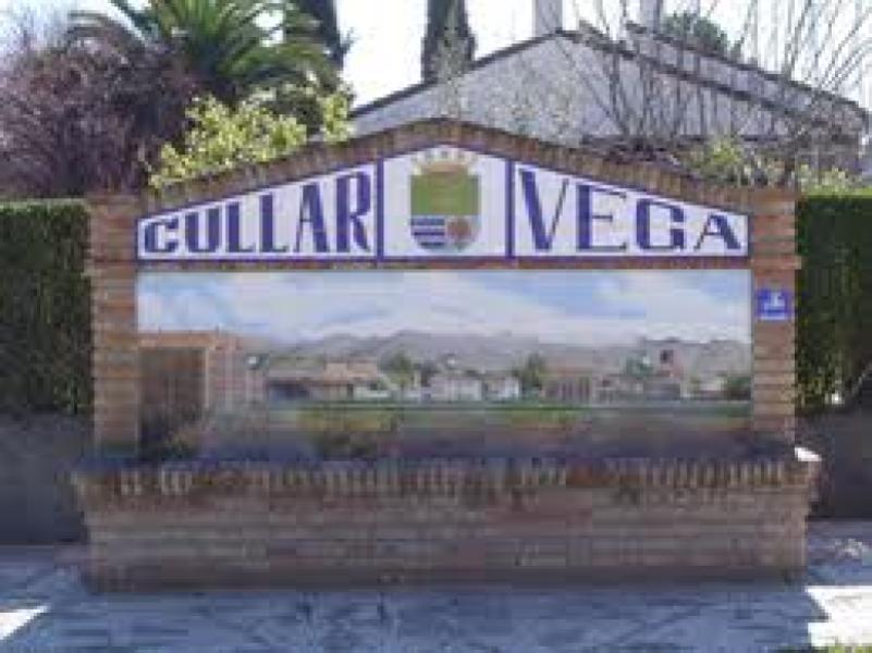 CÚLLAR VEGA