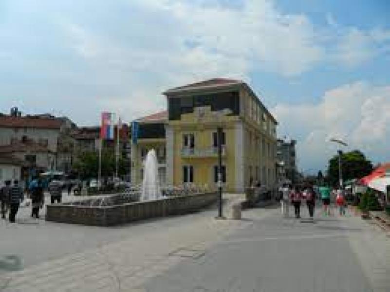 Opstina Surdulica