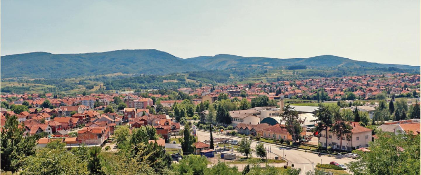 Municipalité de Svrljig