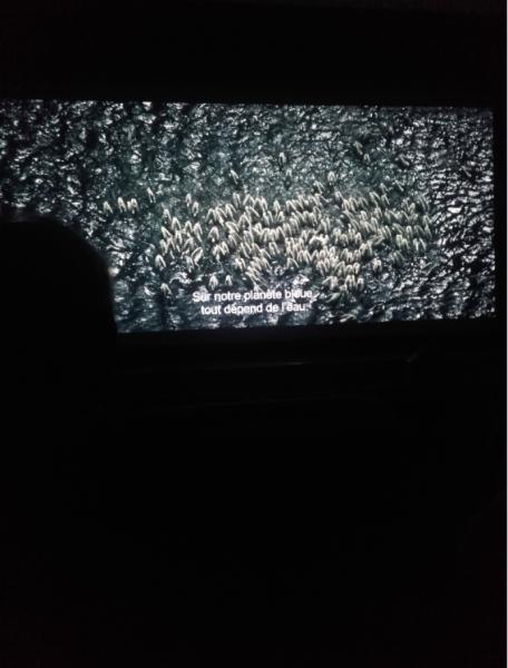Diffusion gratuite du film "Demain"