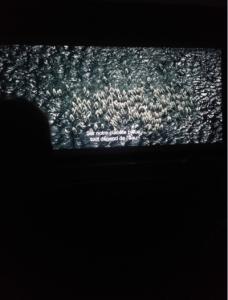 Diffusion gratuite du film "Demain"