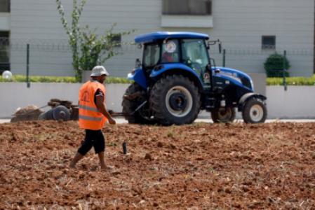 Sesame cultivation starts in Muratpa?a