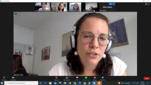 Establishment of LDA-Edremit; advisory online meeting with ALDA