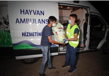 Buca Municipality Forest Fire Aid Activities
