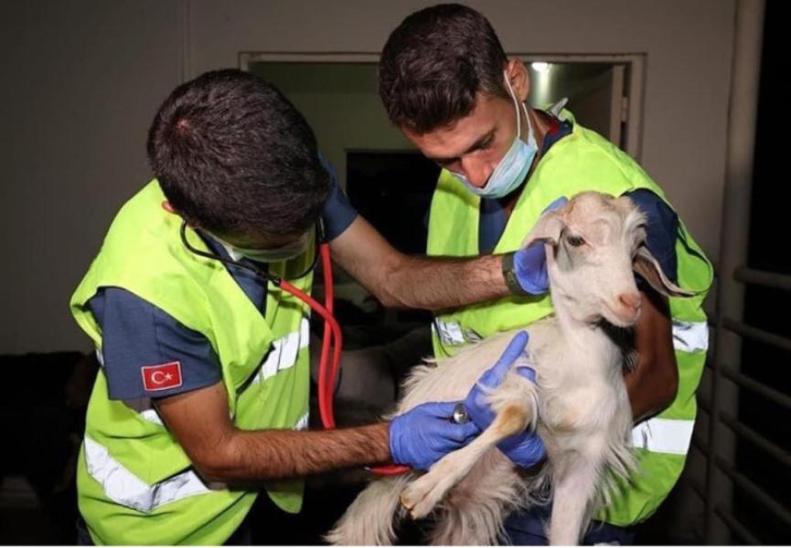 Buca Municipality Forest Fire Aid Activities
