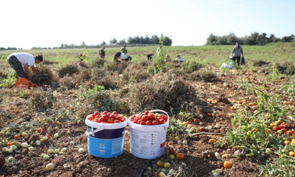 Don't Stay in the Field, Let the Women of Buca Win Project