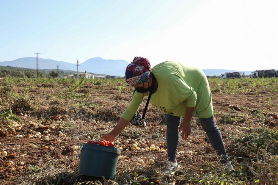 Don't Stay in the Field, Let the Women of Buca Win Project