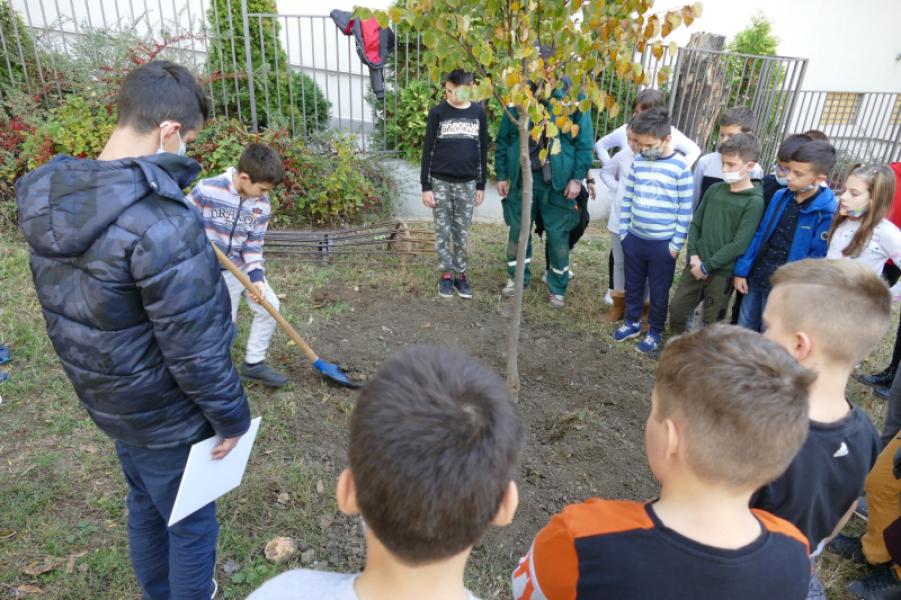 ONE SCHOOL = ONE TREE