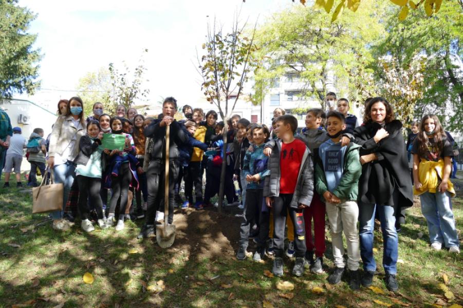 ONE SCHOOL = ONE TREE