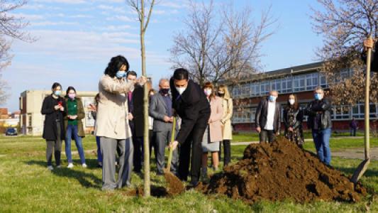 Green Heating Plant Campaign