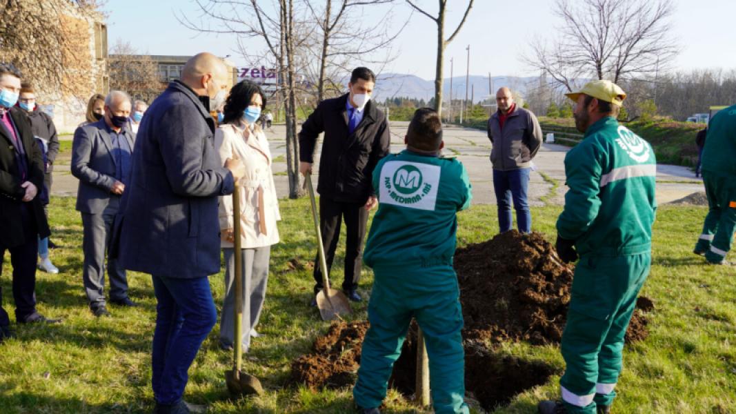 Green Heating Plant Campaign