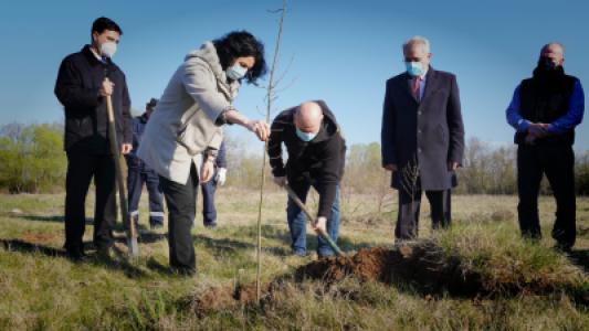 Plant Seeds for the Future Campaign