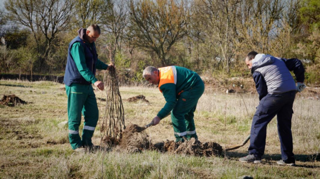 Plant Seeds for the Future Campaign