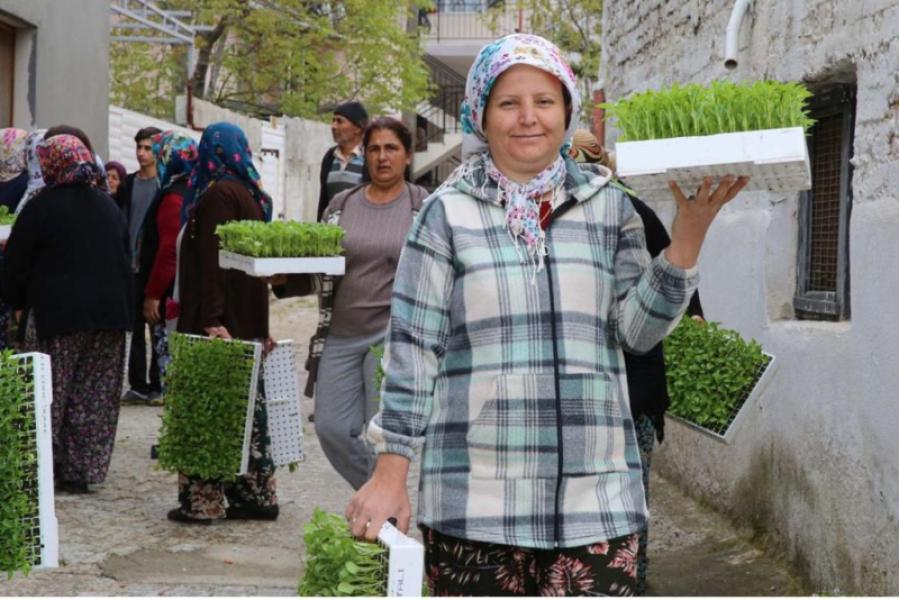 Soutien aux producteurs pour les semis de légumes et les engrais