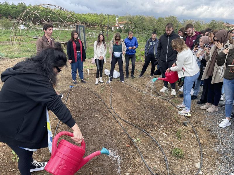 PROJET TAKE A STEP INTO ORGANIC LIFE