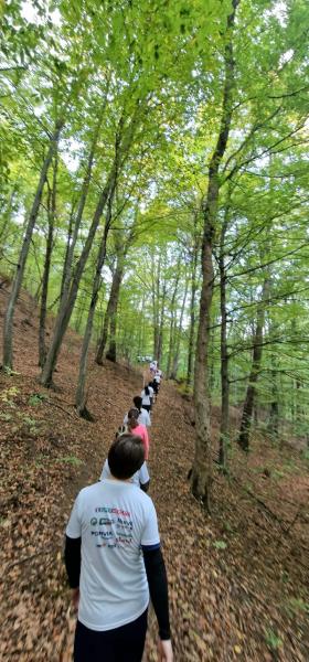 Parcours de la forêt de Valcea