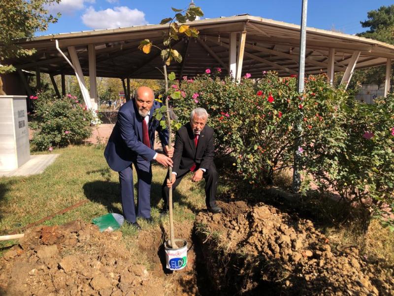 ÉVÉNEMENT DE PLANTATION