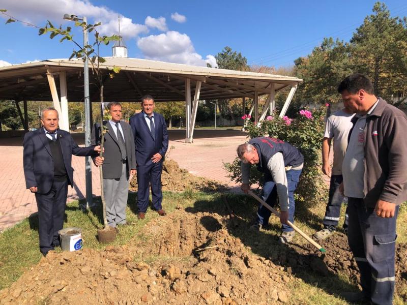 ÉVÉNEMENT DE PLANTATION