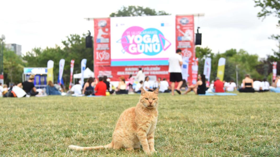 Journée Yoga à Kadıköy