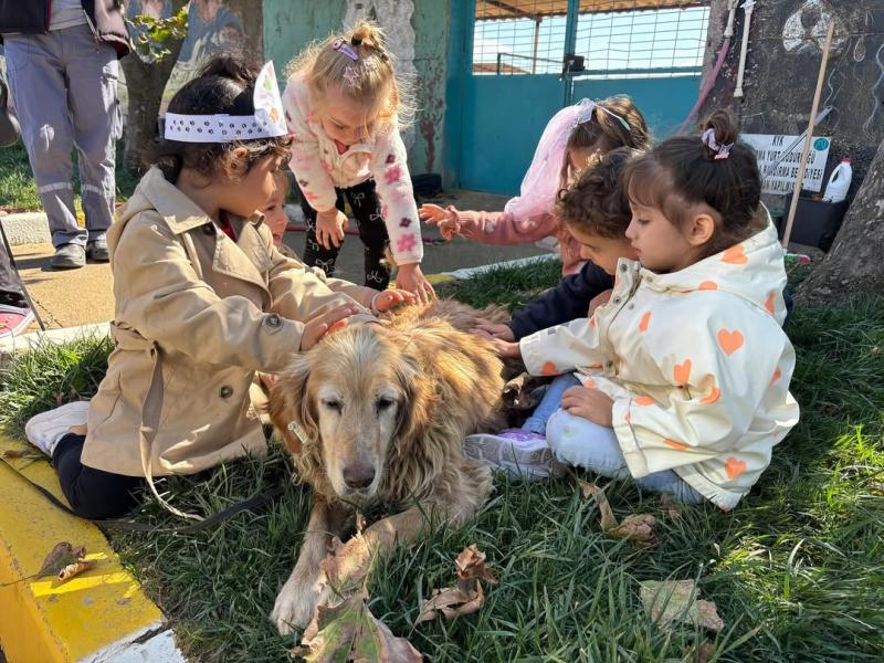 4 octobre – Journée mondiale des animaux
