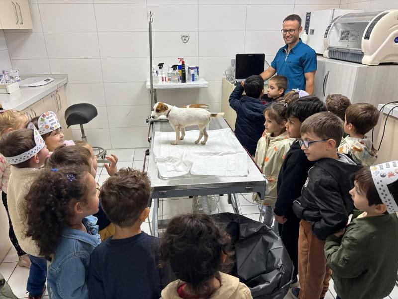 4 octobre – Journée mondiale des animaux