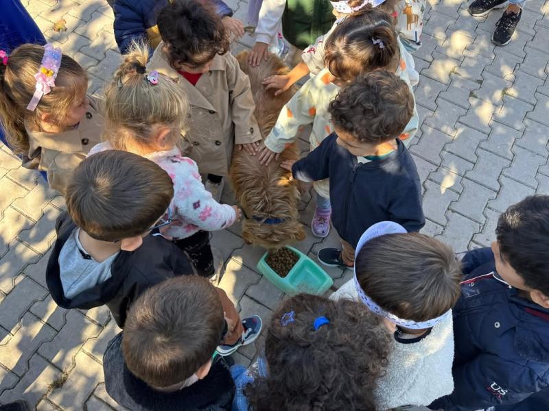 4 octobre – Journée mondiale des animaux