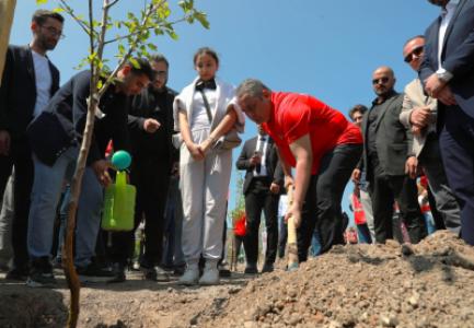 Que chacun plante un arbre