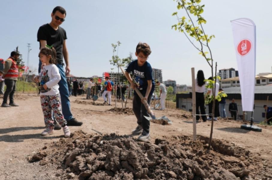 Que chacun plante un arbre